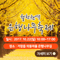 은행나무축제