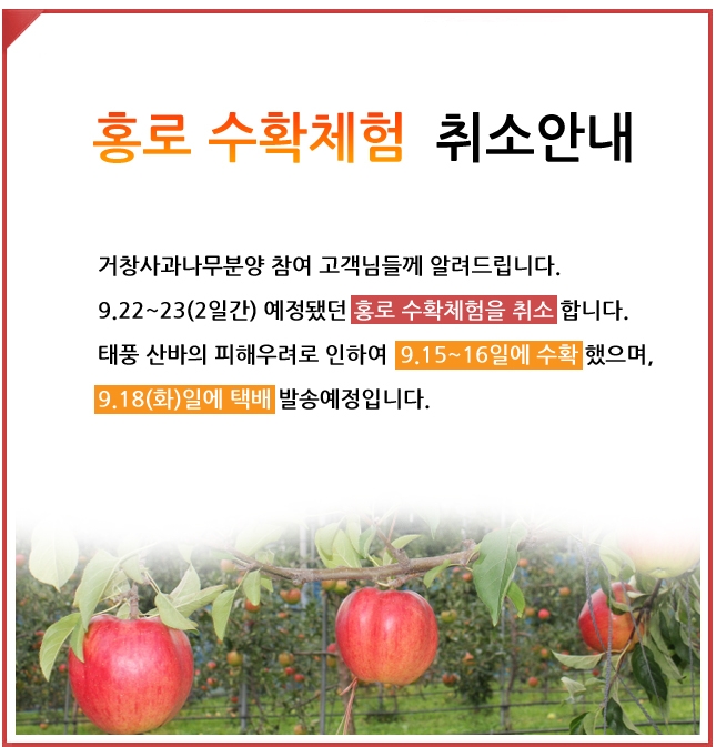 홍로 수확체험 행사 취소 안내 첨부파일 이미지